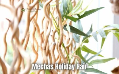 Mechas Holiday Hair