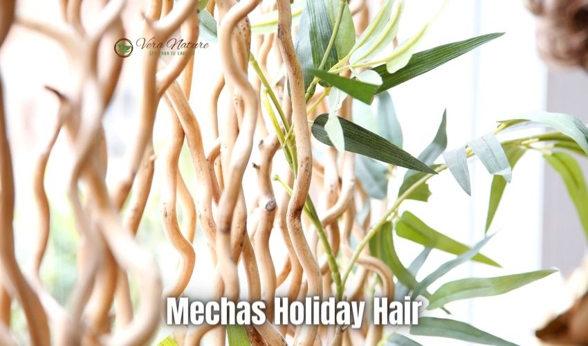 Mechas Holiday Hair