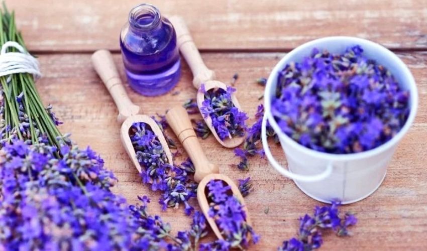 ACEITE ESENCIAL DE LAVANDA