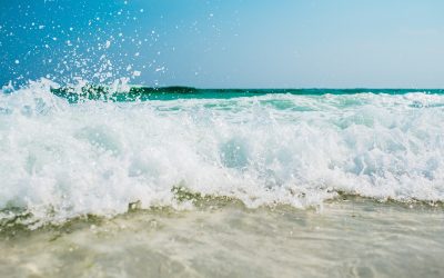 Los beneficios de cortar el cabello antes y después del verano
