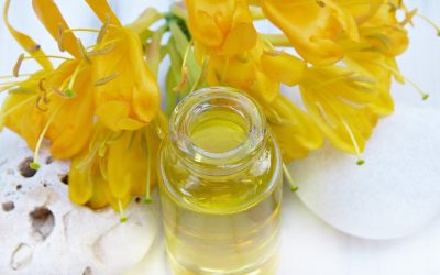 Descubre los beneficios del tratamiento de jojoba para el cabello en Vera Nature